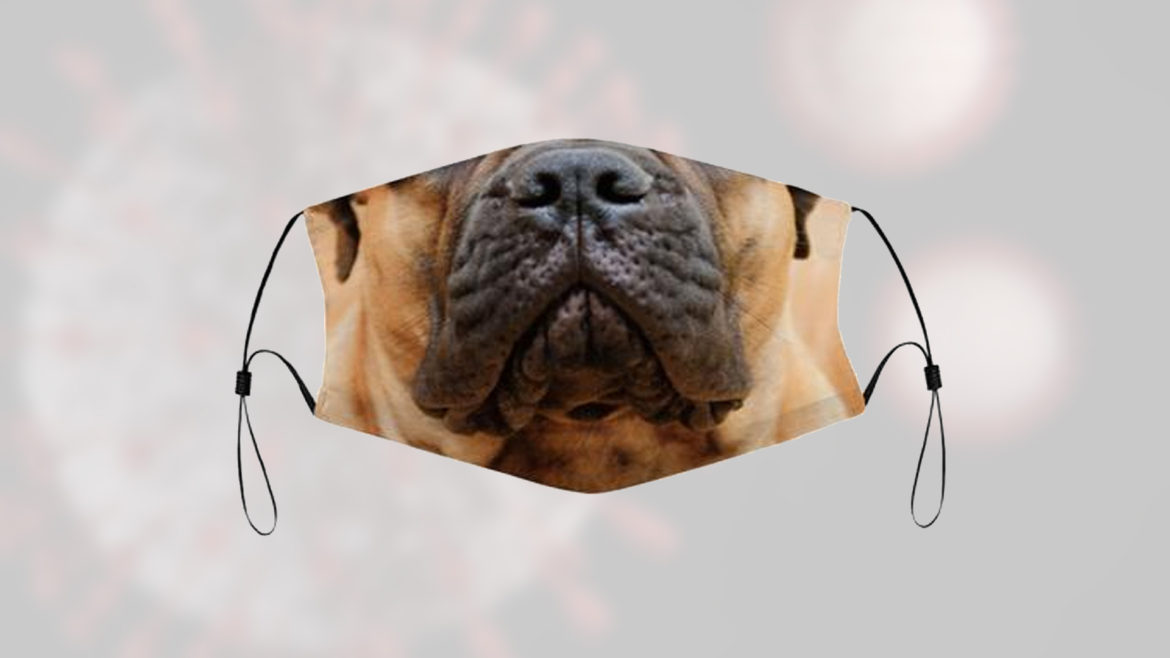 bullmastiff and disaster preparedness