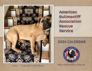 2024 Rescue Calendar